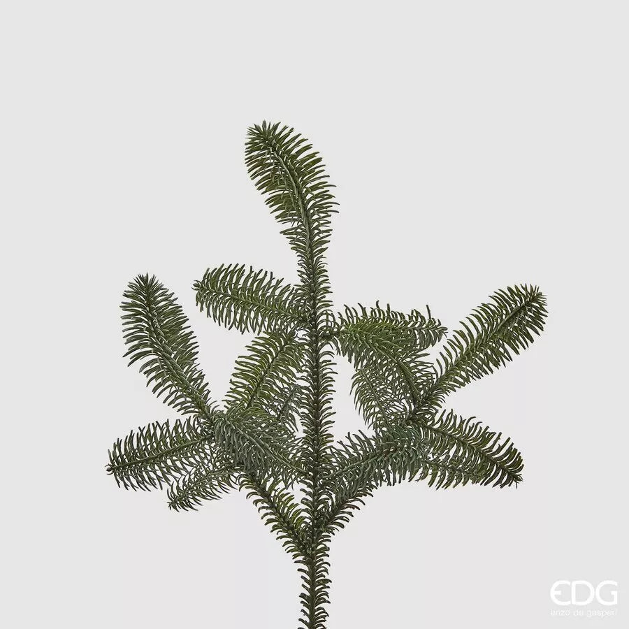 EDG - Branche de Pin Nobilis Branche H 52