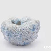 EDG Enzo De Gasperi - Vaso Chakra Marino H 12 Cm D 20 Cm Waterproof White Blue