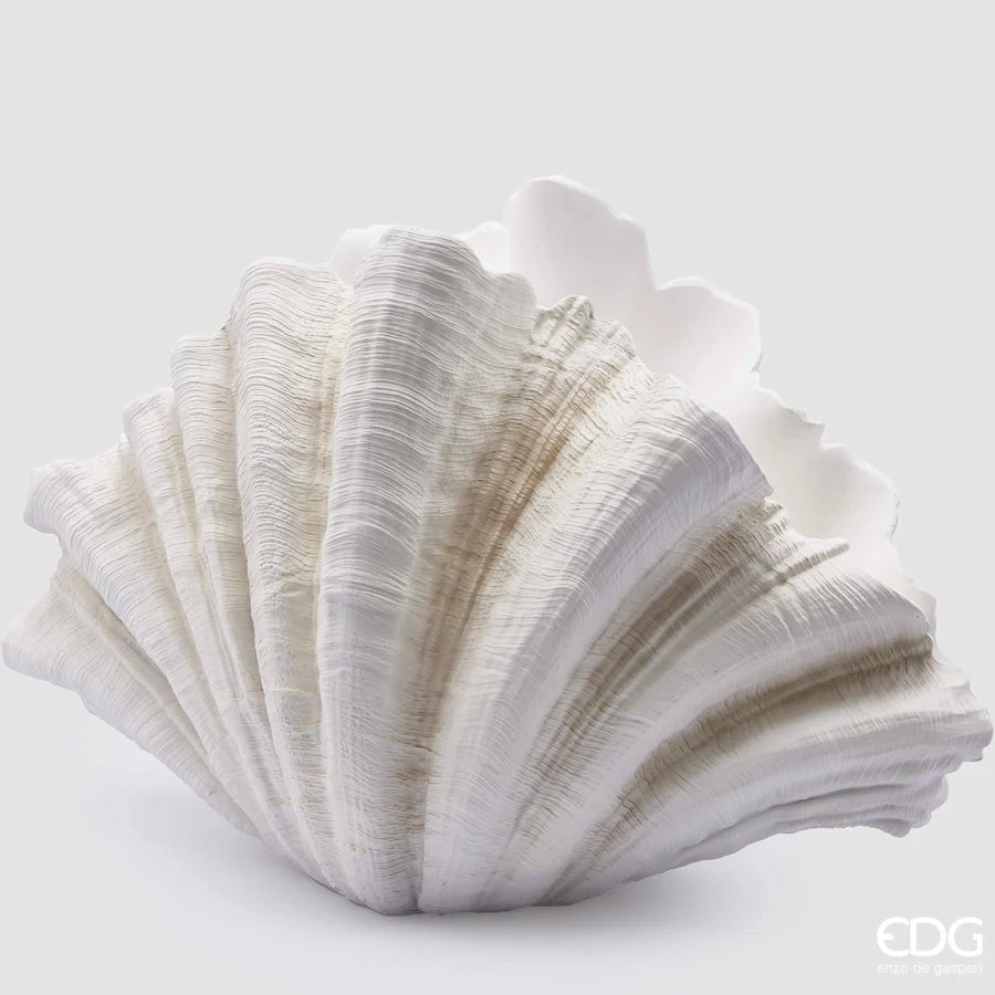 EDG - Vaso Conchiglia Resina