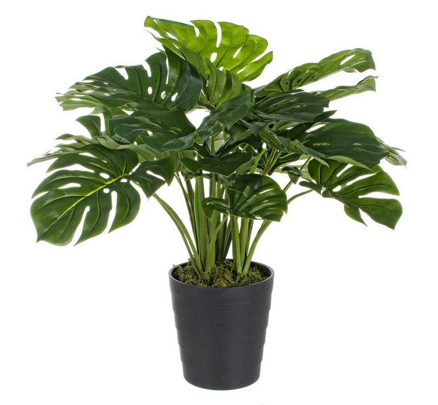Garden Foggia - Monstera artificiale in vaso