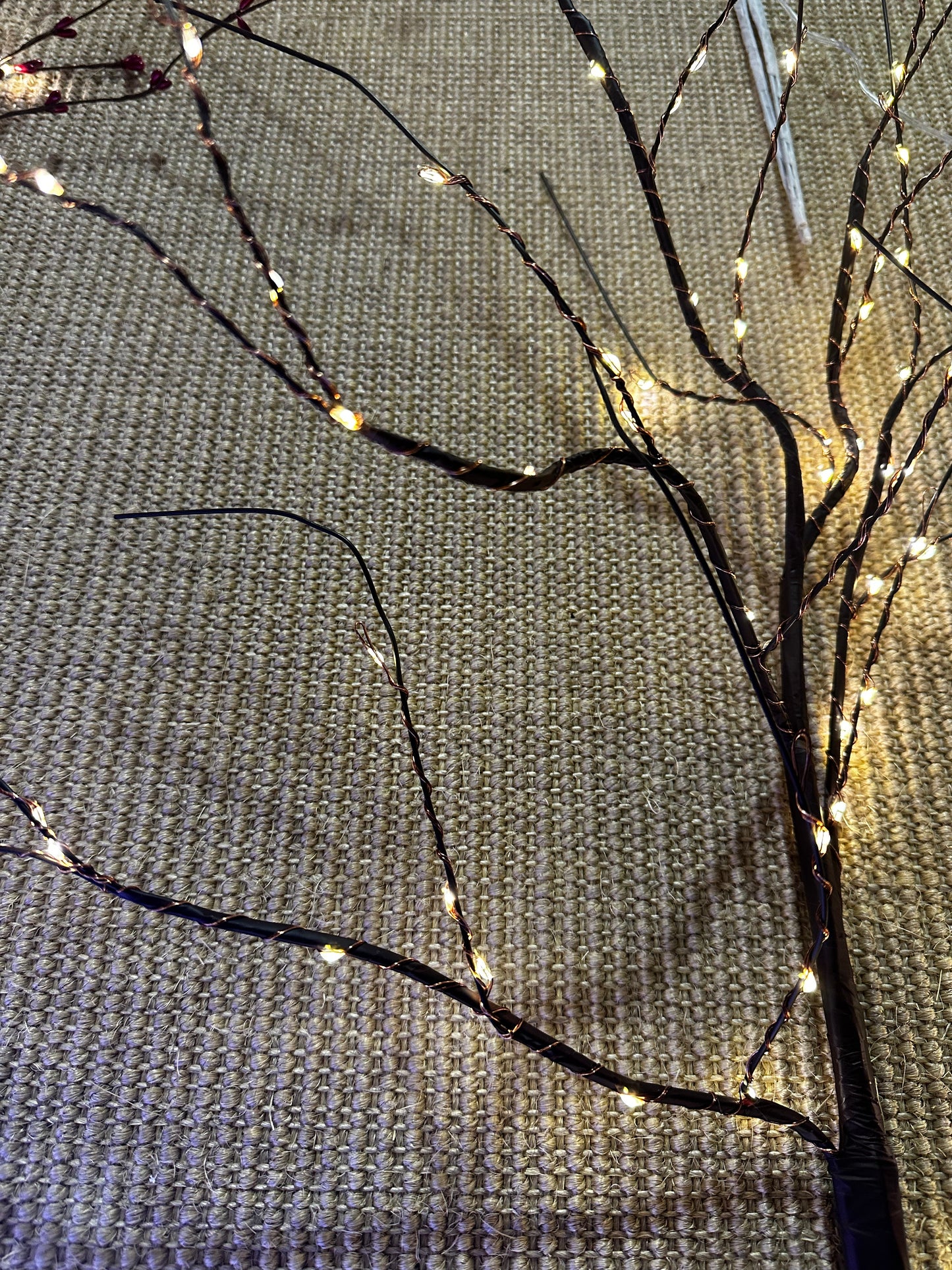 Jardin Foggia - Branches lumineuses h 120
