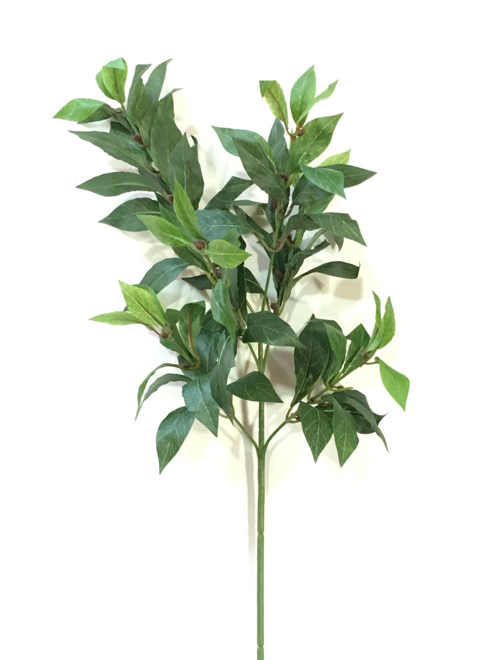 EDG - Branche de laurier artificielle