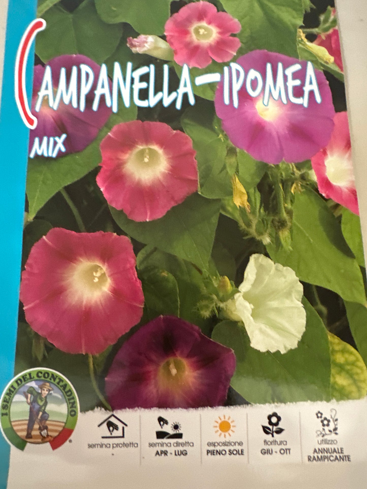 GRAINES DE PRINTEMPS