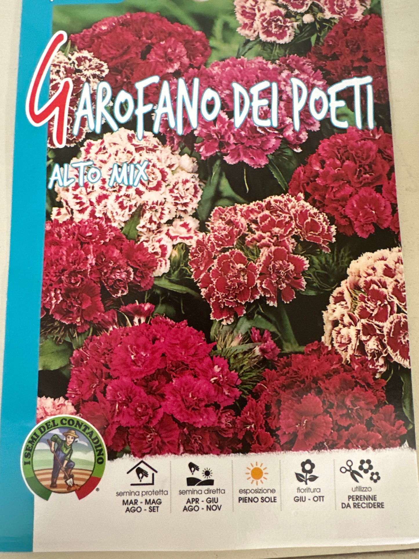 GRAINES DE PRINTEMPS