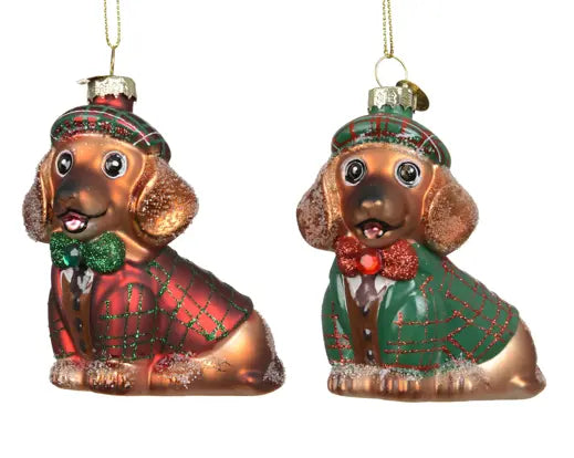 Garden Foggia - Decorazione Cani Con Giacca