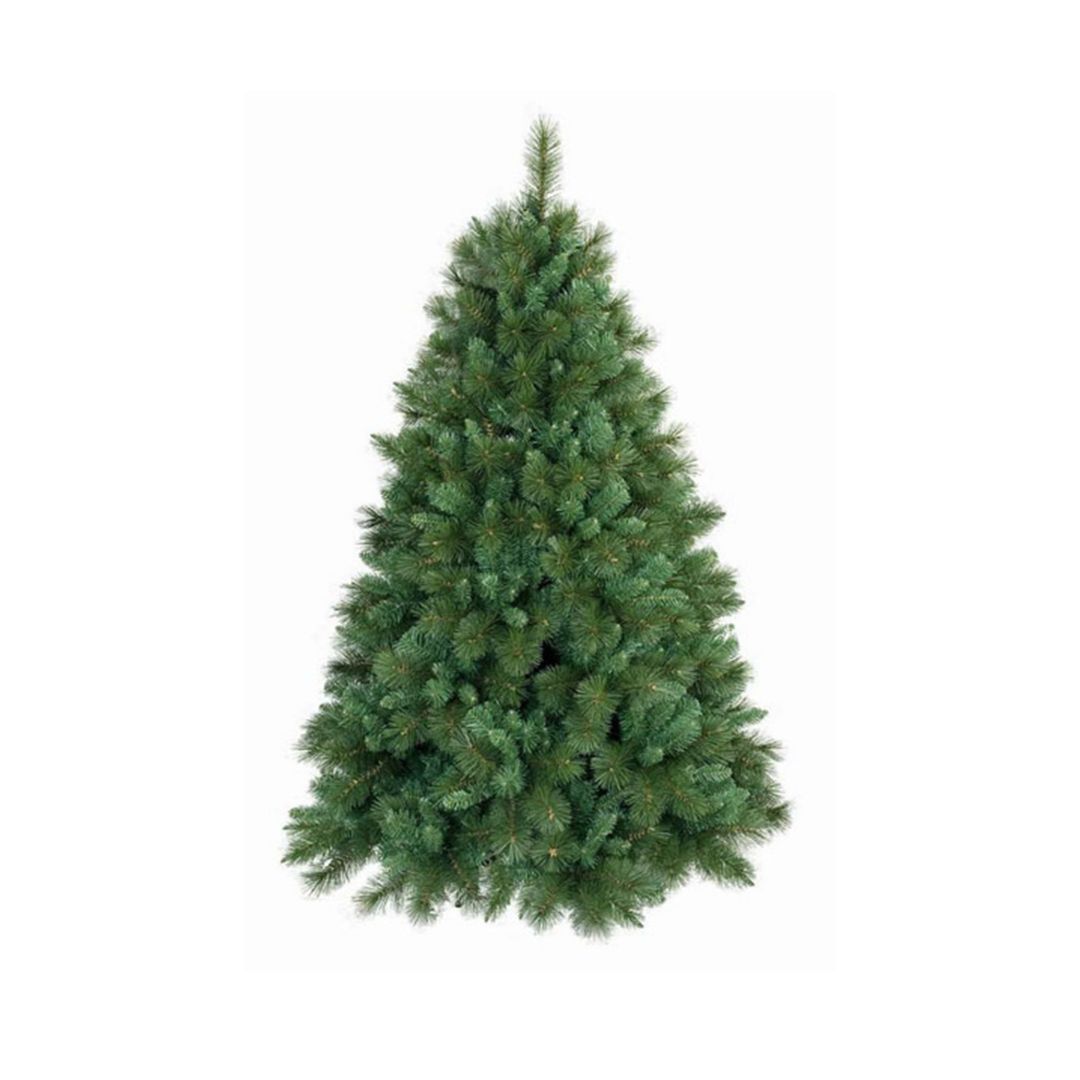 Garden Foggia - Albero Gm King