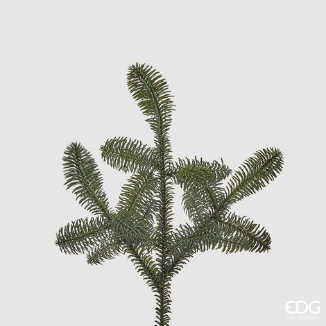 EDG - Ramo Decorativo Pino Nobilis West h 52 cm