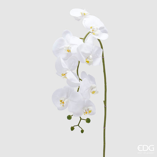 EDG - Ramo Orchidea Fiorita H 115cm