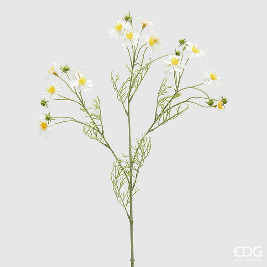 EDG - Ramo Camomilla Fiorito H70cm