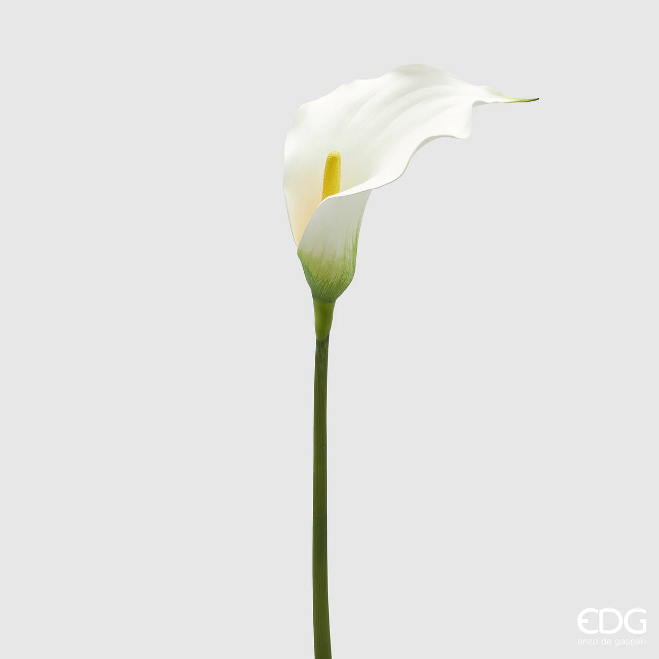 EDG - Ramo Calla H 75cm