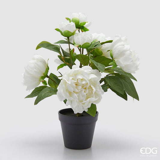 EDG - Pianta Peonie Bianche Artificiale