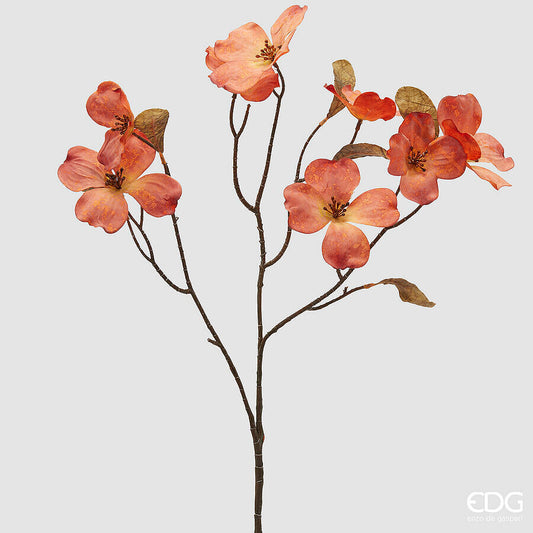 EDG - Ramo Cornus H72 cm