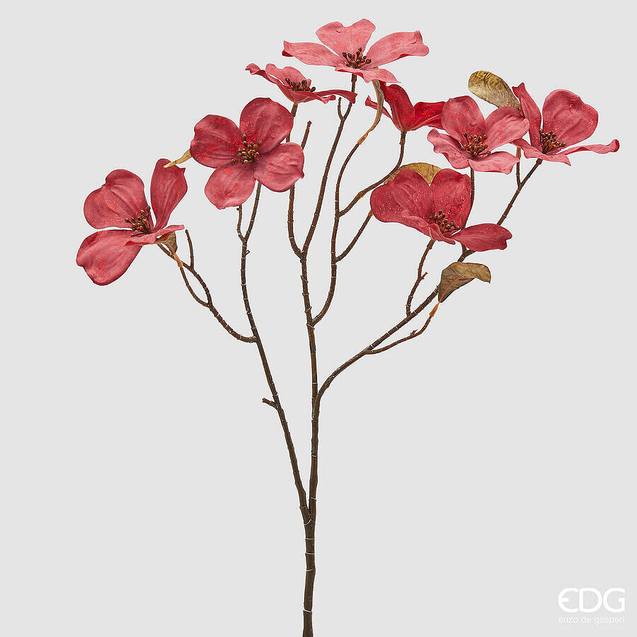 EDG - Ramo Cornus H72 cm