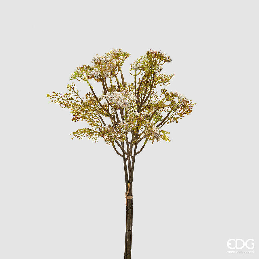 EDG - Seseli Mazzo Con Foglie H44cm