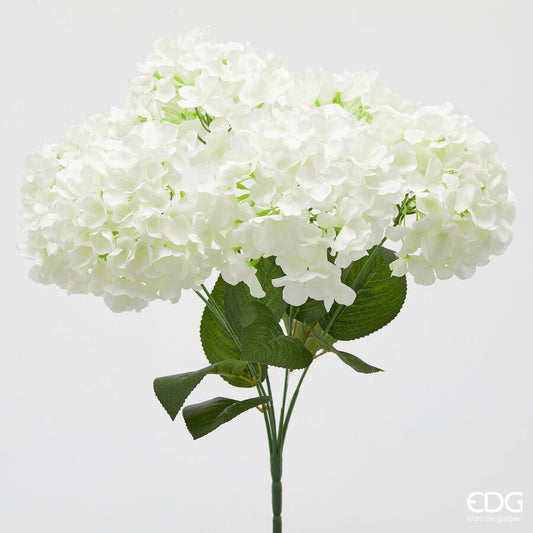 EDG - Ortensia Cespuglio H 50 cm Bianco