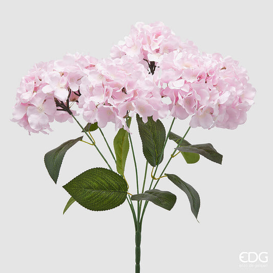EDG - Ortensia Cespuglio H 50 cm Rosa