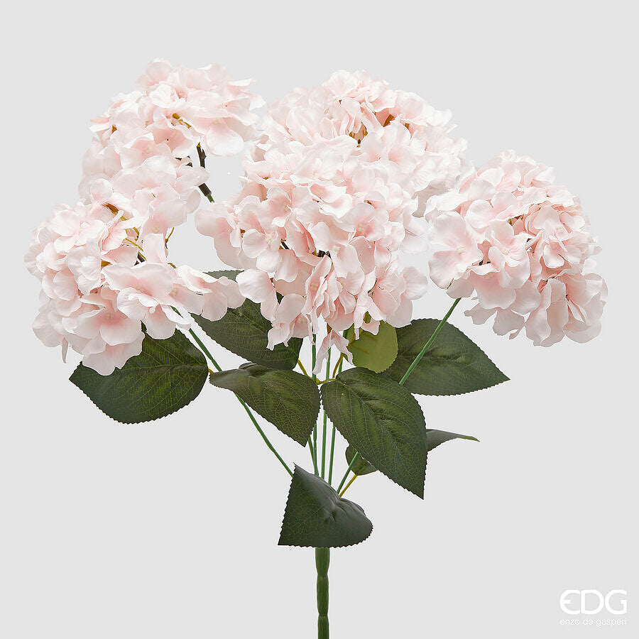 EDG - Ortensia Cespuglio H 50 cm Rosa Chiaro