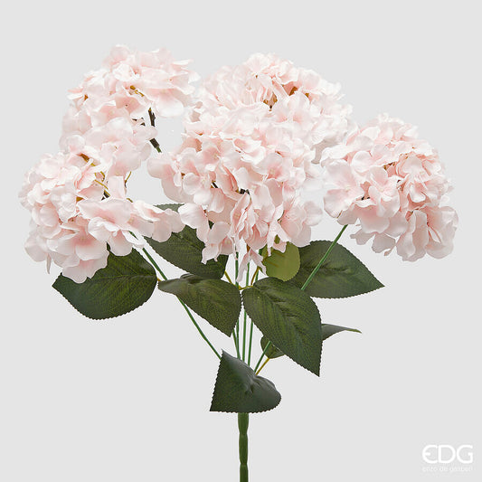 EDG - Ortensia Cespuglio H 50 cm Rosa Chiaro