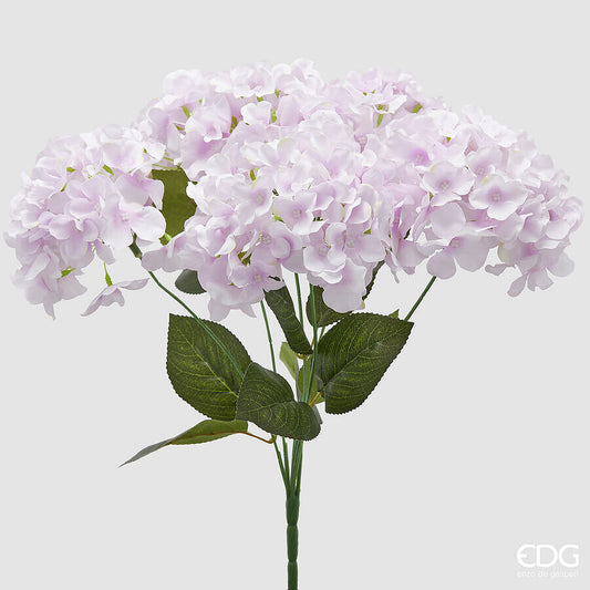 EDG - Ortensia Cespuglio H 50 cm Lilla