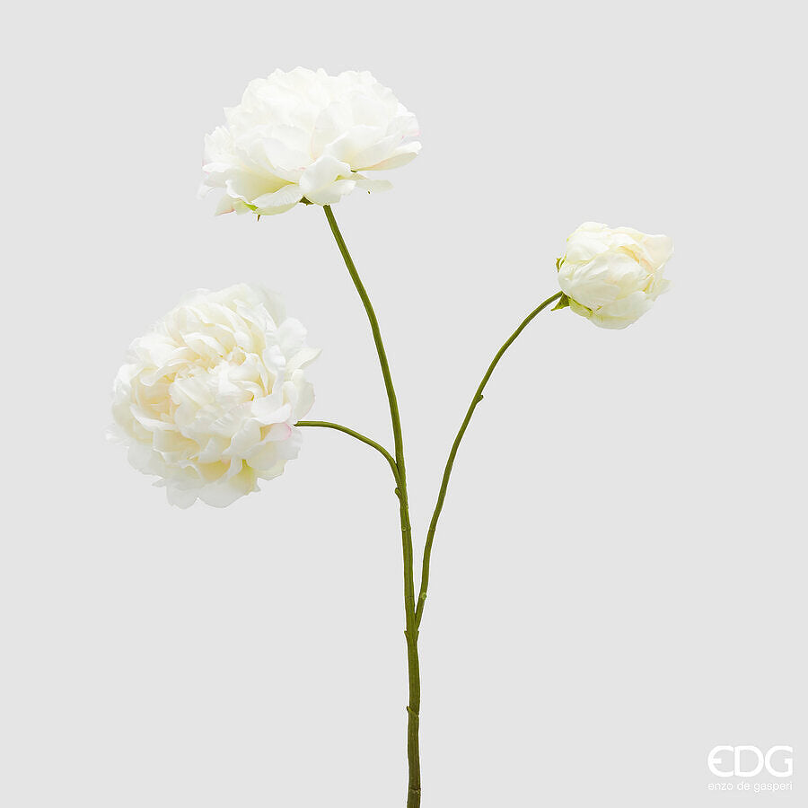 EDG - Ramo Peonia Artificiale H 67cm Avorio