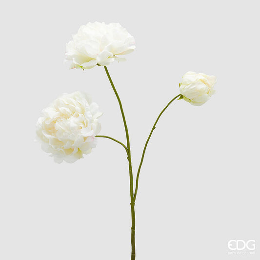 EDG - Ramo Peonia Artificiale H 67cm Avorio