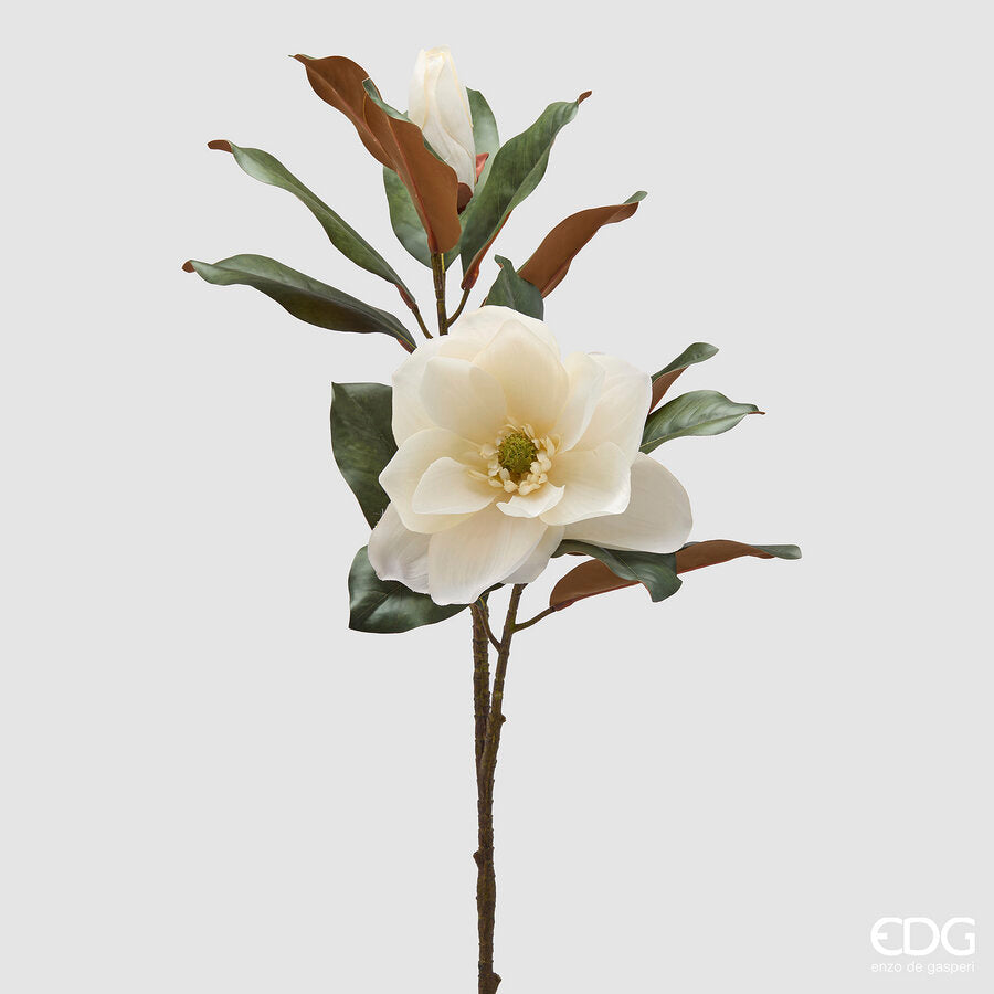 EDG - Ramo Magnolia Fiorito H 85 Con Bocciolo