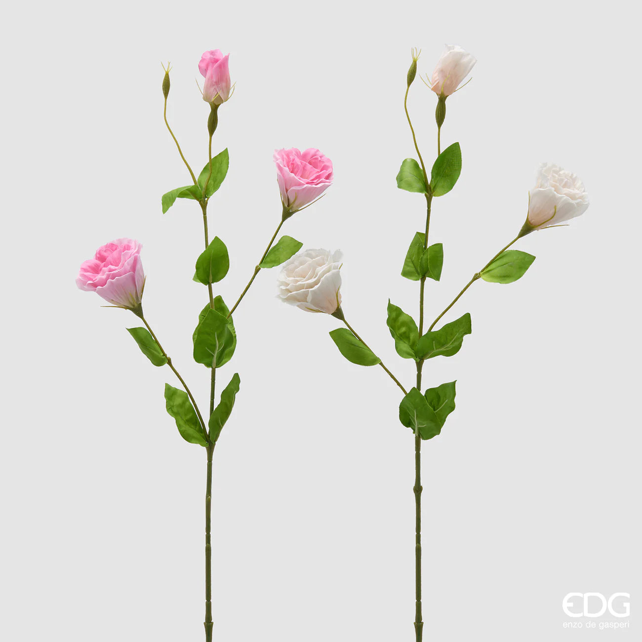 EDG - Ramo Lisianthus H71cm Assortito Chiaro