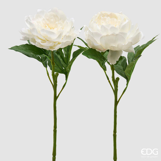 EDG - Ramo Peonia Artificiale H 58 Mix White