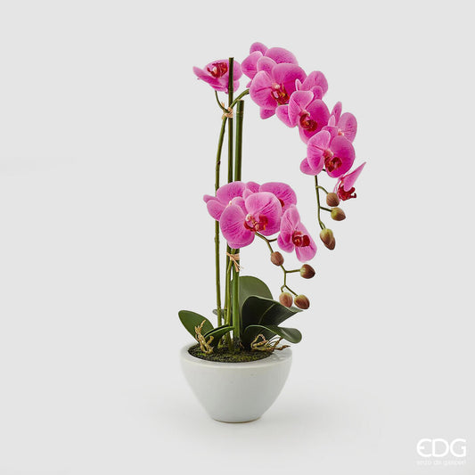 EDG - Orchidea Phalenopsis H 50cm Fuchsia