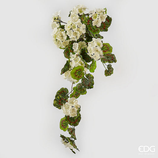 EDG - Geranio Cadente h 75cm Bianco