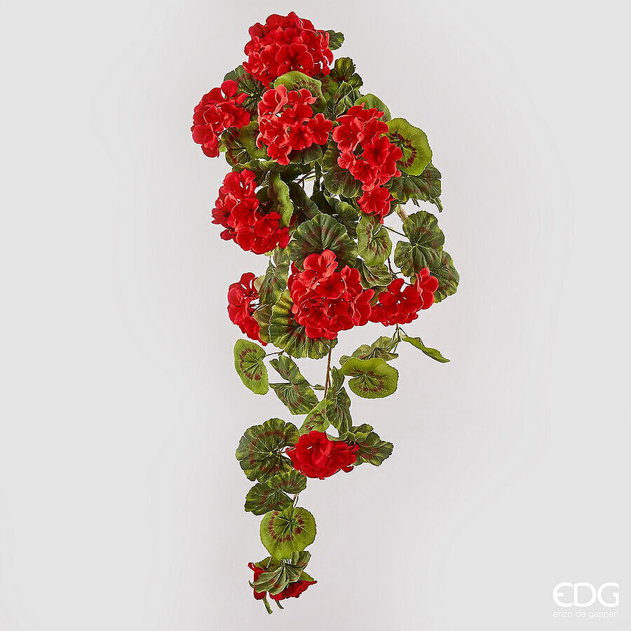 EDG - Geranio Cadente h 75cm Rosso