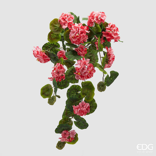 EDG - Geranio Cadente h 75cm Rosa