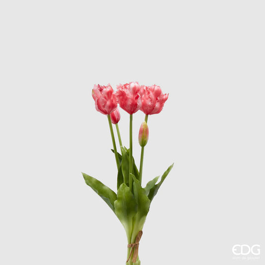 EDG - Mazzo Tulipani Parrot Pink