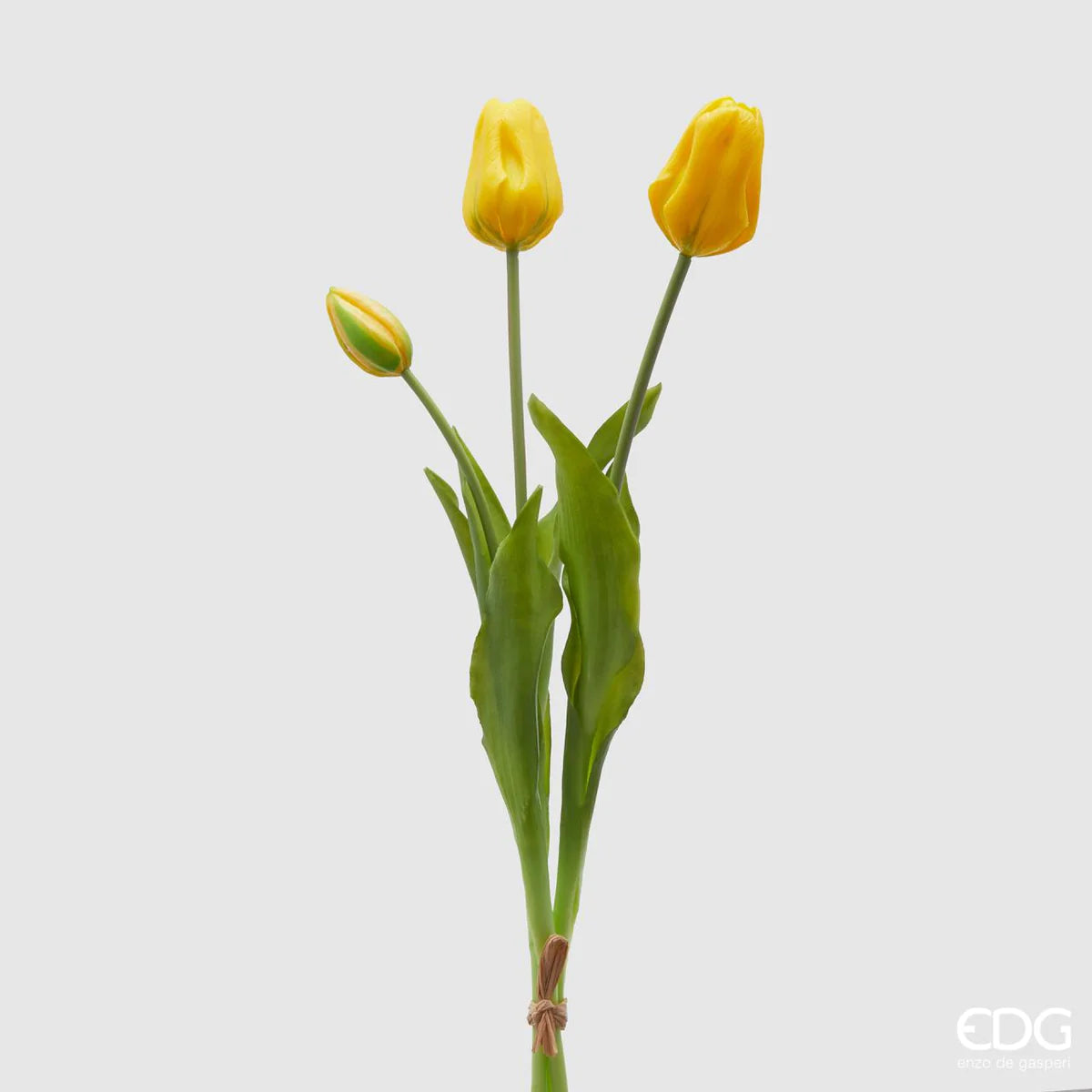 EDG - Mazzo Tulipani Olis 3 fiori chiusi (Giallo)