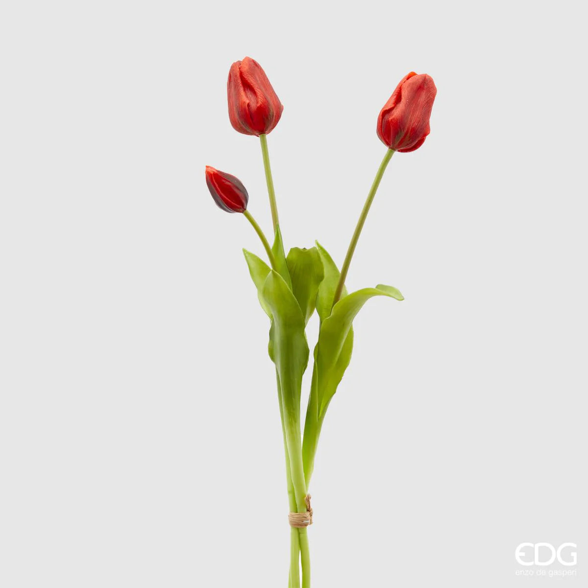 EDG - Mazzo Tulipani Olis 3 Fiori Chiusi (Rosso)
