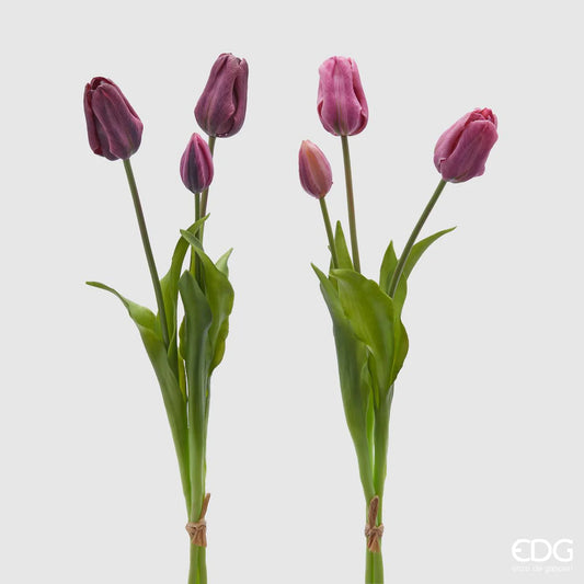 EDG - Mazzo Tulipani Olis 3 Fiori Chiusi (Malva)