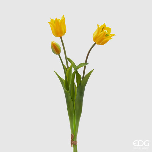 EDG - Bouquet de 3 tulipes jaunes Oliz