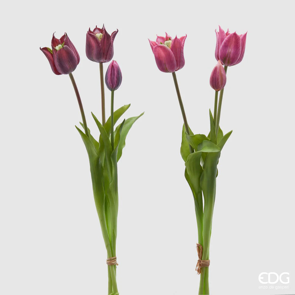 EDG - Mazzo Tulipani Olis 3 Fiori Sfumature Viola