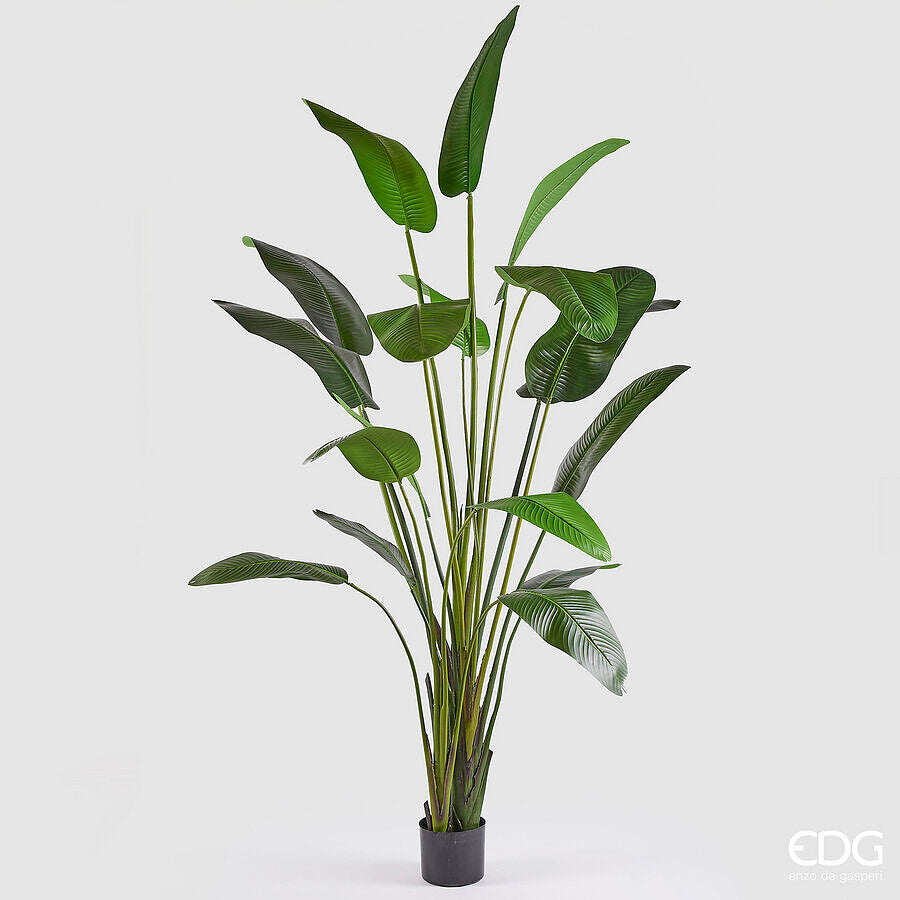 EDG - Strelitzia Artificiale H 310cm