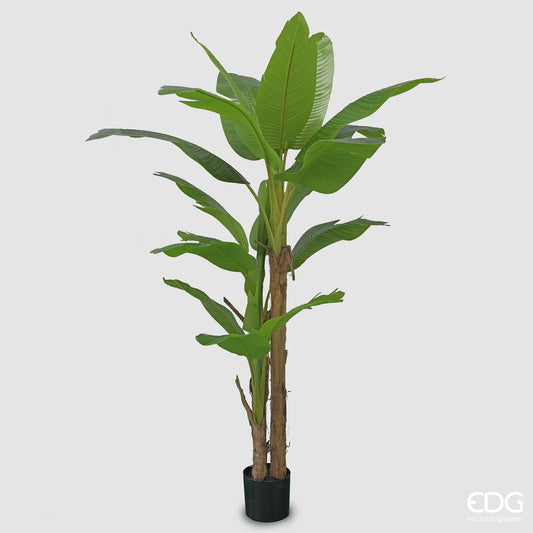 EDG - Banano Artificiale Con Vaso H 280cm