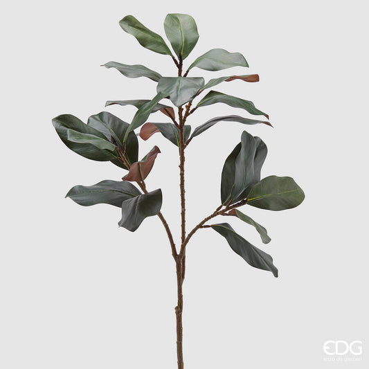 EDG - Ramo Magnolia H 110cm