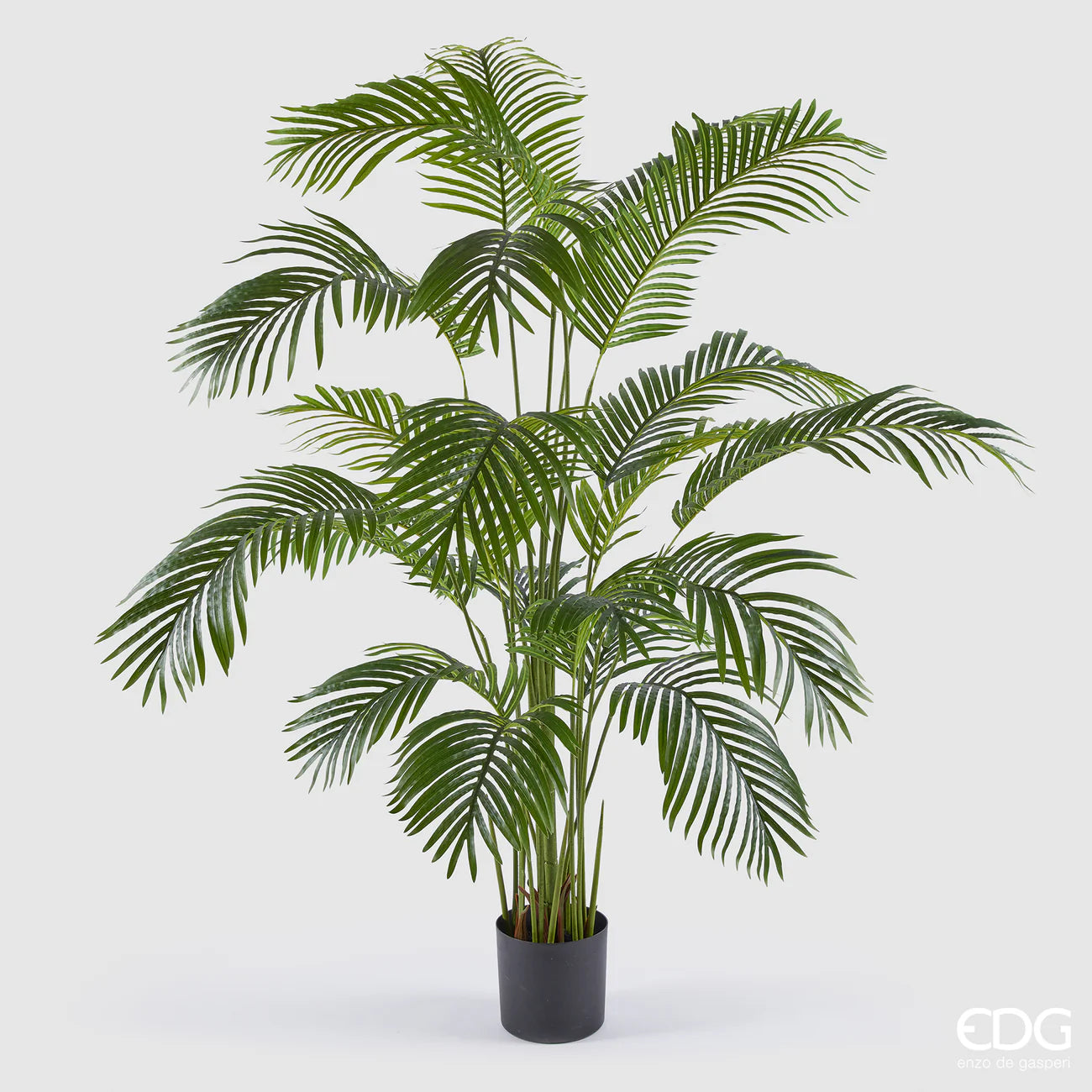 EDG - Palma Areca Artificiale H 170cm