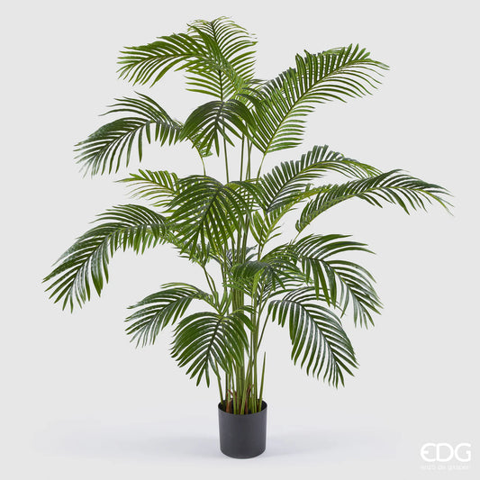 EDG - Palma Areca Artificiale H 170cm