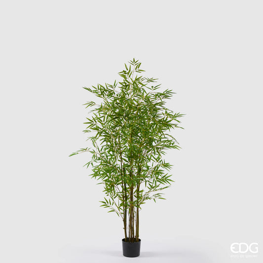 EDG - Pianta Bamboo con vaso H 150 cm Verde Natural