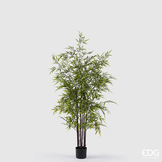 EDG - Pianta Bamboo con vaso H 150 cm Verde Scuro