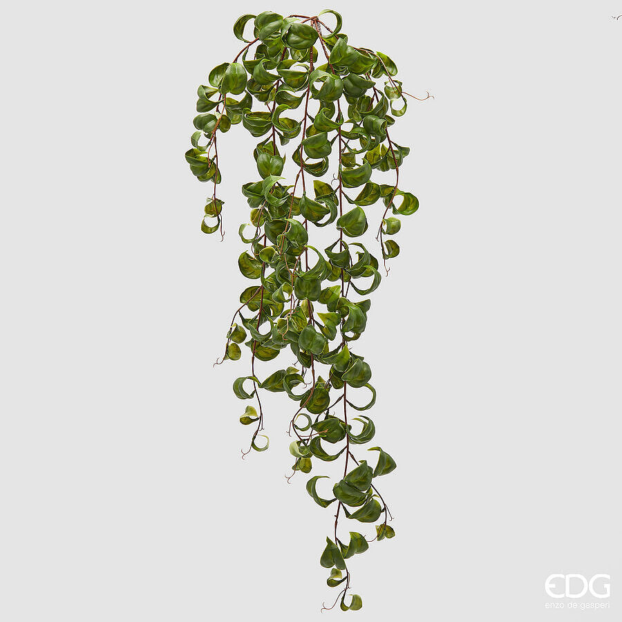 EDG - Ramo Eschinanto Cadente h 82cm