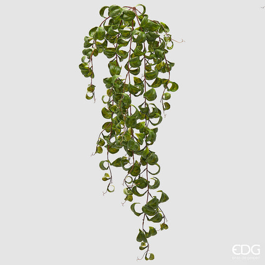 EDG - Ramo Eschinanto Cadente h 82cm