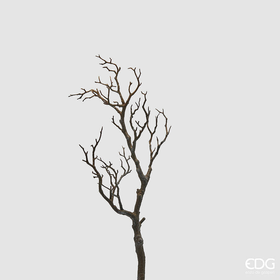 EDG - Ramo Acacia H 69cm