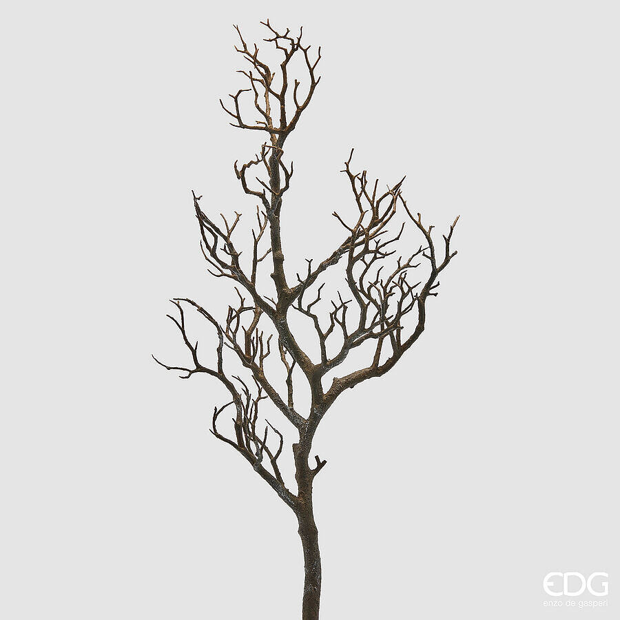 EDG - Ramo Acacia H 75cm