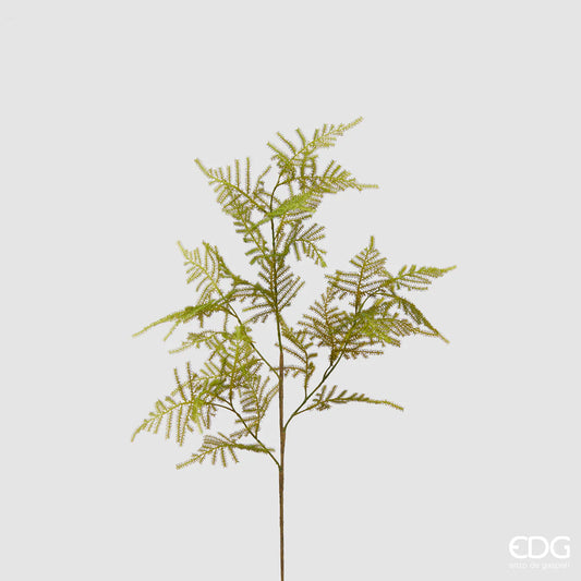 EDG - Ramo Asparagus Artificiale H 71cm